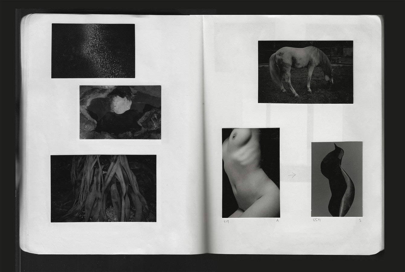 Suffo Moncloa, Personal Work